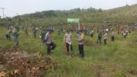 Dalam Rangka HUT Kodam XIII Merdeka, Kapolsek Tojo Hadiri Penanaman Pohon Nantu di Desa Bahari