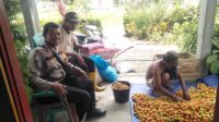 Bhabinkamtibmas Polsek Ampana Kota Sambang Wilayah Binaan Wujud Sinergitas Dengan Warga
