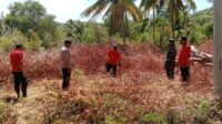 Patroli Gabungan, Polsek Tojo Bersama Koramil Tojo dan Ops Manggala Agni KLHK Sasar Daerah Rawan Kebakaran