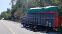 Dedikasi Luar Biasa, Bhabinkamtibmas Bantu Pengendara Truk Mengalami Kerusakan