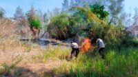 Kapolsek Ulubongka Bersama Personel Berjibaku Padamkan Api di Lahan Pinggir Sungai Desa Cempa