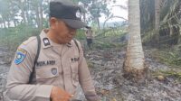 Personil Polsek Tojo Berjibaku Padamkan Api di Desa Korondoda, Desa Tayawa dan Desa Tongku