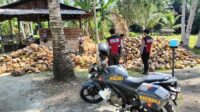 Sambangi Warga Saat Patroli, Personel Satsamapta Polres Touna Sampaikan Imbauan Kamtibmas