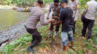 Polsek Tojo dan Polsubsektor Tojo Barat  Tanam 500 Pohon Penghijauan Lingkungan