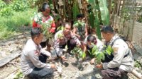 Aksi Tanam Pohon Polsek Ampana Kota Ajak Masyarakat Lestarikan Negeri Penghijauan Sejak Dini