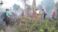 Respon Cepat, Kapolsek Tojo Pimpin Langsung Pemadaman Kebakaran Perkebunan di Desa Mawomba