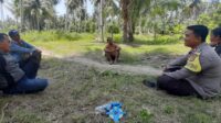 Sambangi Warga di Kebun, Bhabinkamtibmas Ini Sampaikan Himbauan Pencegahan Karhutla