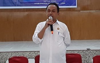 DPD Nasdem Touna Targetkan kemenangan Pemilu 2024