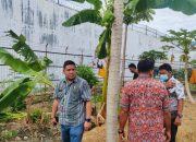 Bentuk Toleransi Beragama, Warga Binaan Nasrani Lakukan Pembersihan Lingkungan Lapas Ampana di Bulan Puasa