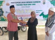 Polres Touna Sembelih Hewan Kurban dan dibagikan Dagingnya Kepada Masyarakat