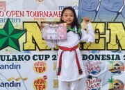 Bikin Bangga,Taekwondo Cilik Touna Ini Berhasil Raih Medali Emas di Open Turnamen Danrem 132 Tadulako Cup II