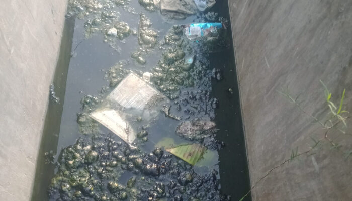 Berdampak Sarang Penyakit, Warga Kelurahan Ampana Keluhkan Pengerjaan Drainase Asal Jadi