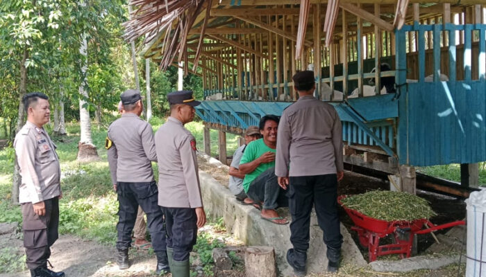 Dukung Program Ketahanan Pangan Nasional, Kapolsek Ampana Kota Monitoring Warga Peternak Kambing