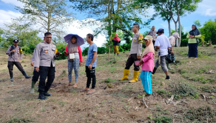 Polsek Tojo Dukung Program Ketahanan Pangan Lewat Tanam Jagung