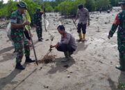 Kapolsek Tojo Hadiri Penanaman Pohon Bakau Dalam Rangka Hari Juang TNI – AD Tahun 2024