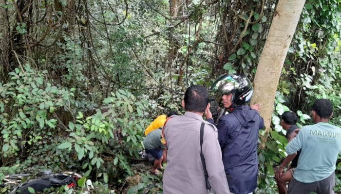 Tak Bisa Kuasai Laju Kendaraan, Pengendara Yamaha MX King Terjun Ke Jurang Marowo