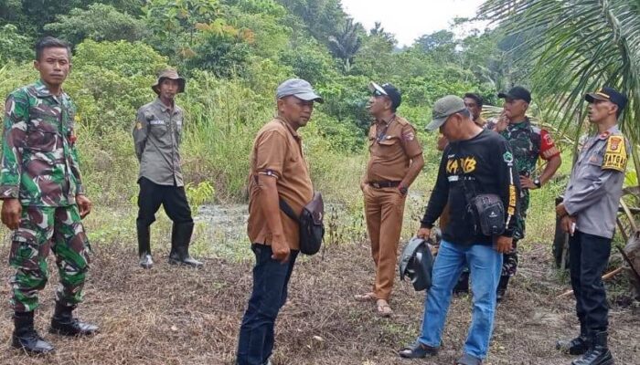 Tahun 2025, Pemkab Touna Akan Lakukan Penanaman Perdana Kelapa Sawit