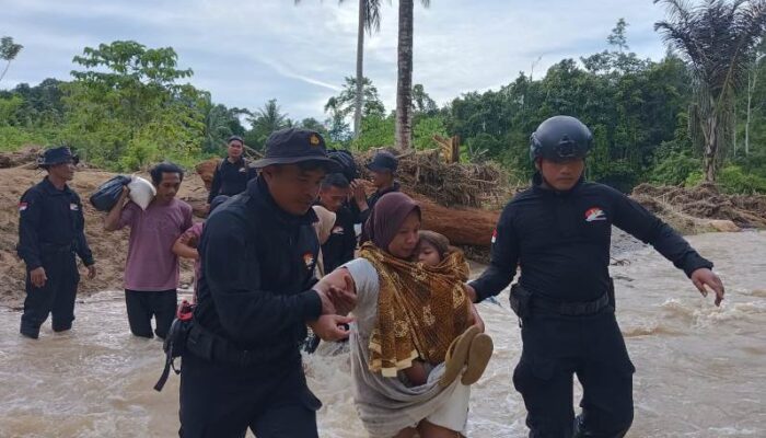 Brimob Sulteng Sigap Evakuasi Warga Terdampak Banjir dan Tanah Longsor di Kabupaten Tolitoli