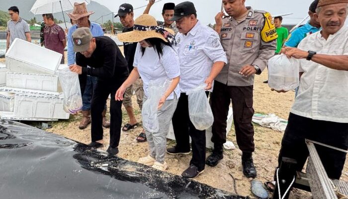 Bupati Ilham Lawidu Lakukan Pelepasan Benih Udang di Desa Tampanombo