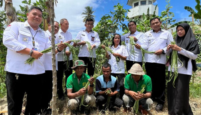 Komitmen Dukung Ketahanan Pangan, Kanwil Ditjenpas Sulteng Panen Kacang Panjang di SAE Lapas Ampana