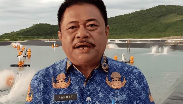 Kadis Perikanan Touna: Potensi Budidaya Udang Vaname di Touna Masih Terbuka Lebar