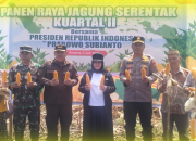 Wabup Surya saat Hadiri Panen Raya Jagung Serentak di Kecamatan Ulubongka