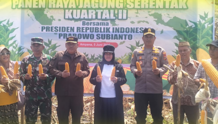 Wabup Surya saat Hadiri Panen Raya Jagung Serentak di Kecamatan Ulubongka