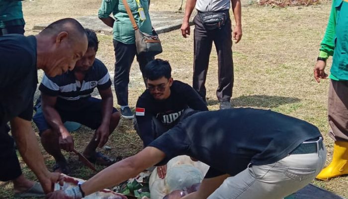 Momentum Idul Adha, Lapas Ampana Laksanakan Penyembelihan dan Penyaluran Hewan Kurban