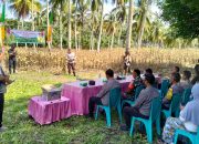Wakapolres Kompol Mulyadi Pimpin Panen Raya Jagung Tahap II Binaan Polres Touna