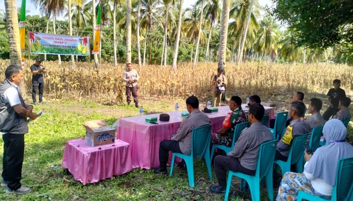 Wakapolres Kompol Mulyadi Pimpin Panen Raya Jagung Tahap II Binaan Polres Touna