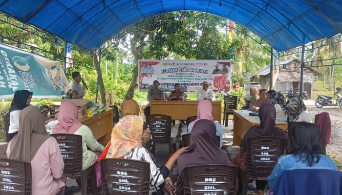 Sambut HUT Ke-80 RI, Pemkab Touna Gelar Gerakan Pangan Murah di Ratolindo