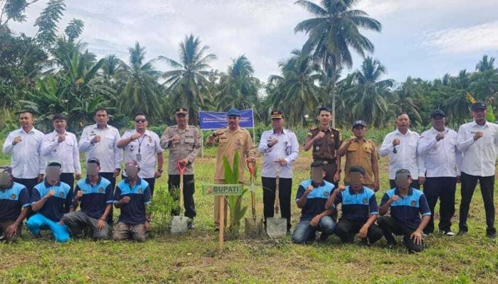 Pj Sekda Touna Ikut Tanam Pohon Kelapa di Lapas Ampana, Dukung Ketahanan Pangan Nasional