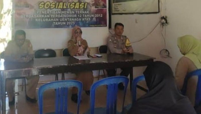 Polisi dan Warga Bersinergi, Atasi Masalah Ternak Liar di Uentanaga Atas