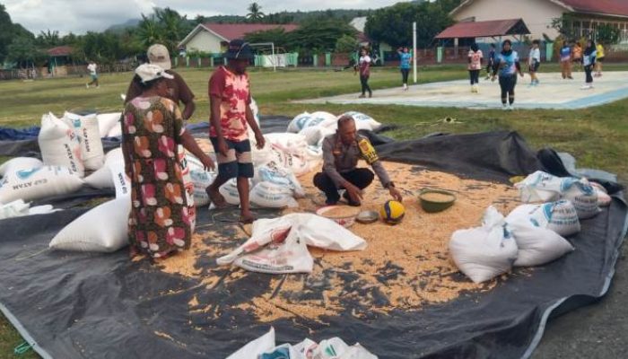 Demi Kesejahteraan Petani, Kapolsek Ampana Tete Imbau Jual Jagung Langsung ke Bulog