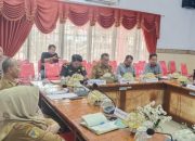 RDP, Pemicu Kasus di Touna: Narkoba, Ekonomi, dan Pernikahan Dini Picu Kekerasan!