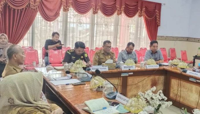 RDP, Pemicu Kasus di Touna: Narkoba, Ekonomi, dan Pernikahan Dini Picu Kekerasan!