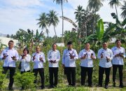 Kalapas Ampana dan Jajaran Panen Sayuran Hasil Program Ketahanan Pangan