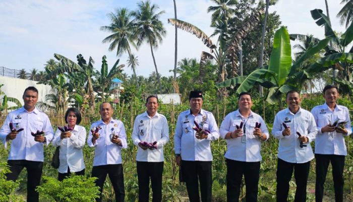 Kalapas Ampana dan Jajaran Panen Sayuran Hasil Program Ketahanan Pangan