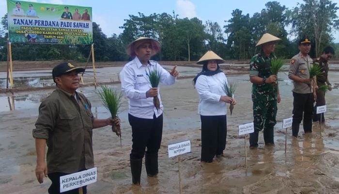 Program Cetak Sawah Rakyat tahun 2025, Wabup Touna Lakukan Penanaman Perdana Padi di Desa Lemoro