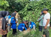 Lawan Stigma Lama, PMII dan Polres Touna Rayakan Sumpah Pemuda Lewat Konservasi Hijau
