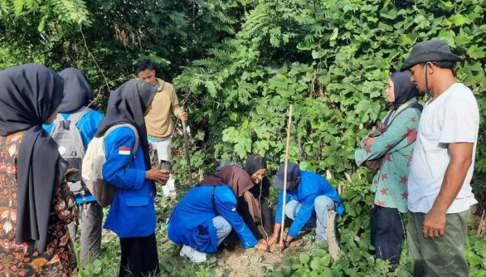 Lawan Stigma Lama, PMII dan Polres Touna Rayakan Sumpah Pemuda Lewat Konservasi Hijau