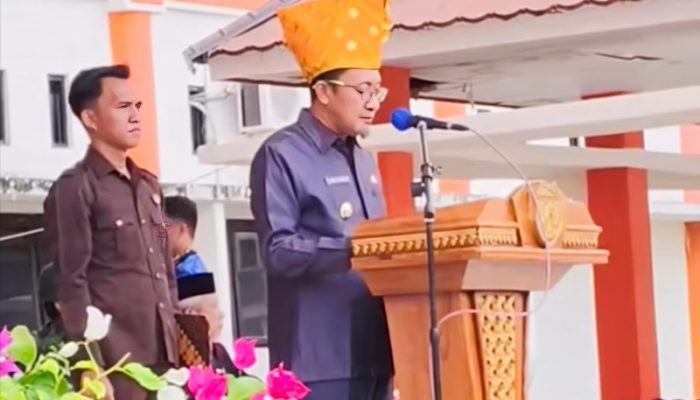 Pimpin Upacara Hari Pahlawan Nasional, Bupati Ilham Sebutkan 3 hal yang harus diteladani dari Pahlawan