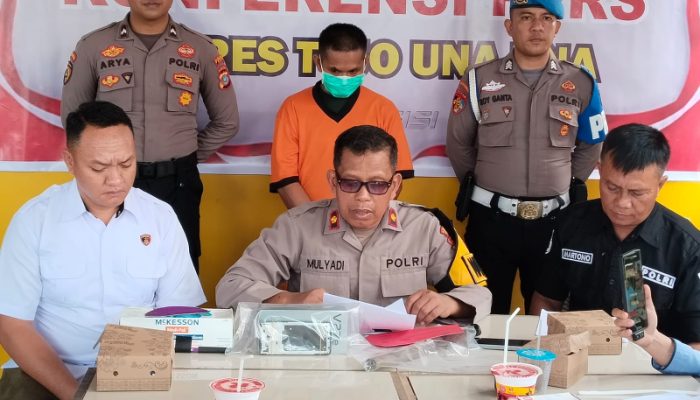 Alasan Ekonomi, Pria di Touna Ditangkap Polisi Karena Curi HP