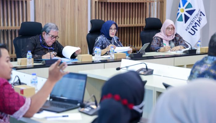 Audiensi Pemkab Touna dengan Kementerian UMKM, Dukung Pertumbuhan Ekonomi Daerah