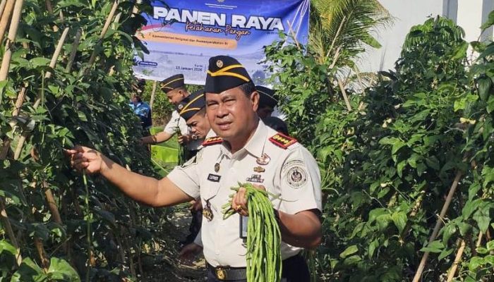 Panen Raya Serentak Kemenimipas Perkuat Ketahanan Pangan, Lapas Ampana Turut Panen Kacang Panjang dan Kangkung