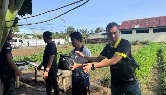 Lapas Tolitoli Bersihkan Lapas Lama dan Siapkan Penanaman Hortikultura Dukung Program Ketahanan Pangan