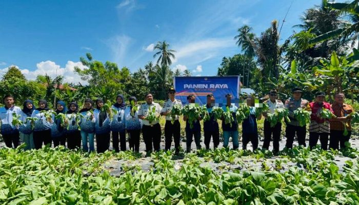 Lapas Tolitoli  Panen Raya Serentak, Hasil Panen Didonasikan untuk Korban Bencana Sumatera dan Aceh