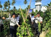 Lapas Ampana Donasikan Hasil Panen Raya untuk Korban Bencana