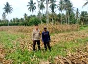 Dukung Program Pemerintah, Kapolsek Ampana Kota Dorong Produktivitas Pertanian