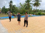 Dukung Ketahanan Pangan, Kapolsek Ampana Kota Dorong Petani Buntongi Sinergi dengan Bulog